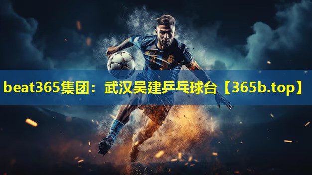 武汉吴建乒乓球台 武汉吴建乒乓球台