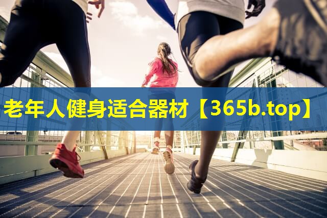 老年人健身适合器材 老年人健身适合器材