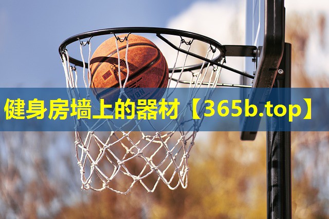 健身房墙上的器材 健身房墙上的器材