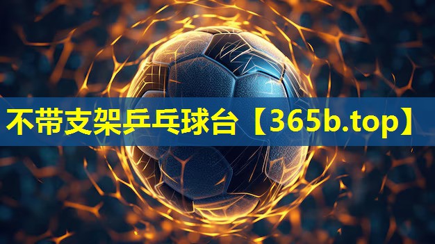 不带支架乒乓球台 不带支架乒乓球台