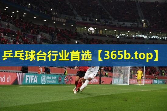 乒乓球台行业首选 乒乓球台行业首选