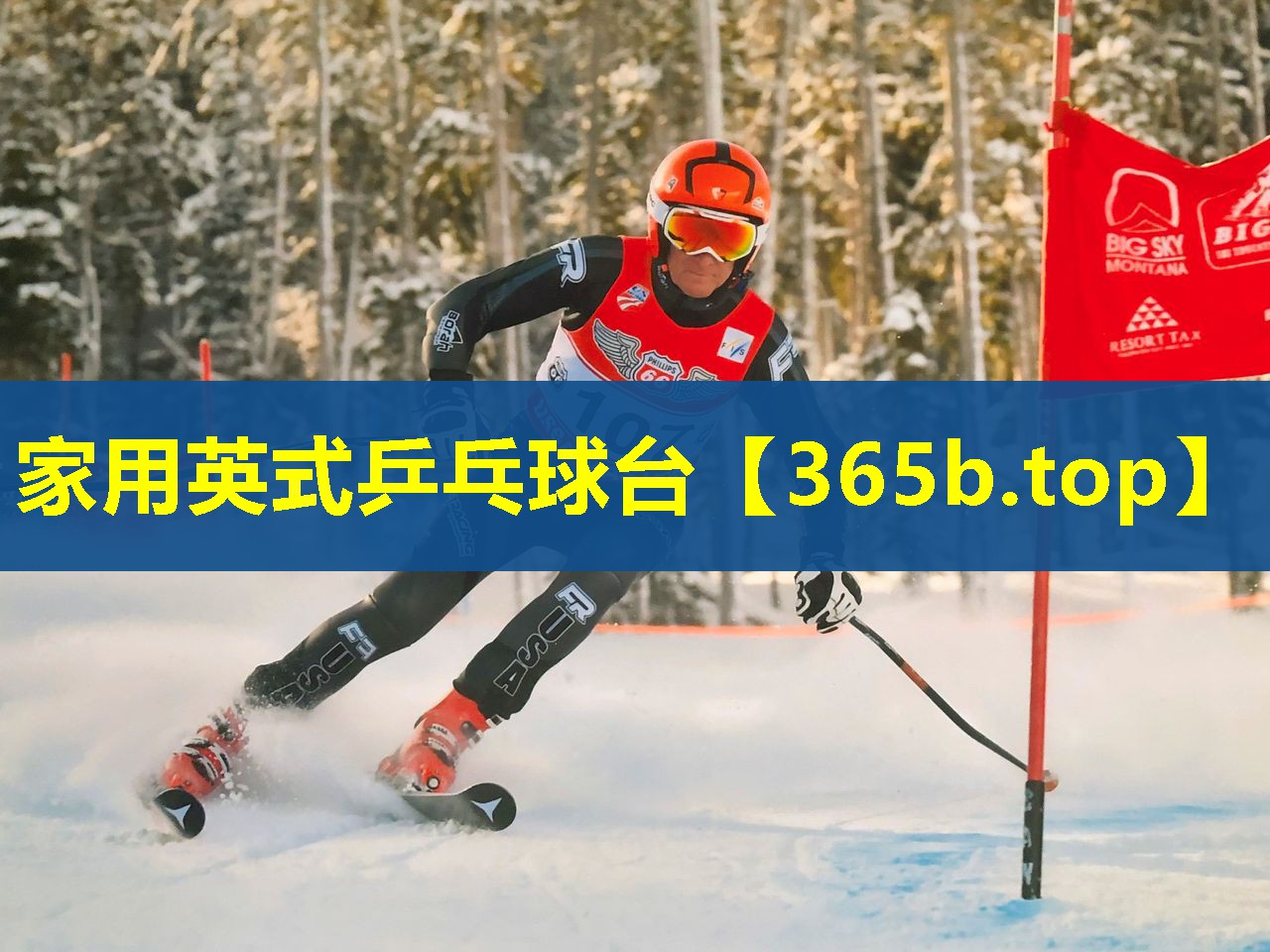 家用英式乒乓球台 家用英式乒乓球台