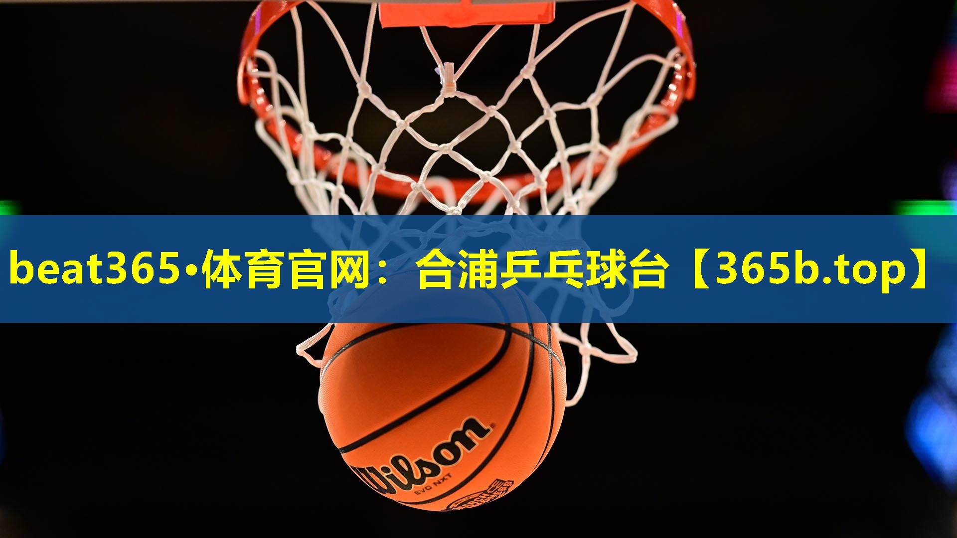 合浦乒乓球台 合浦乒乓球台