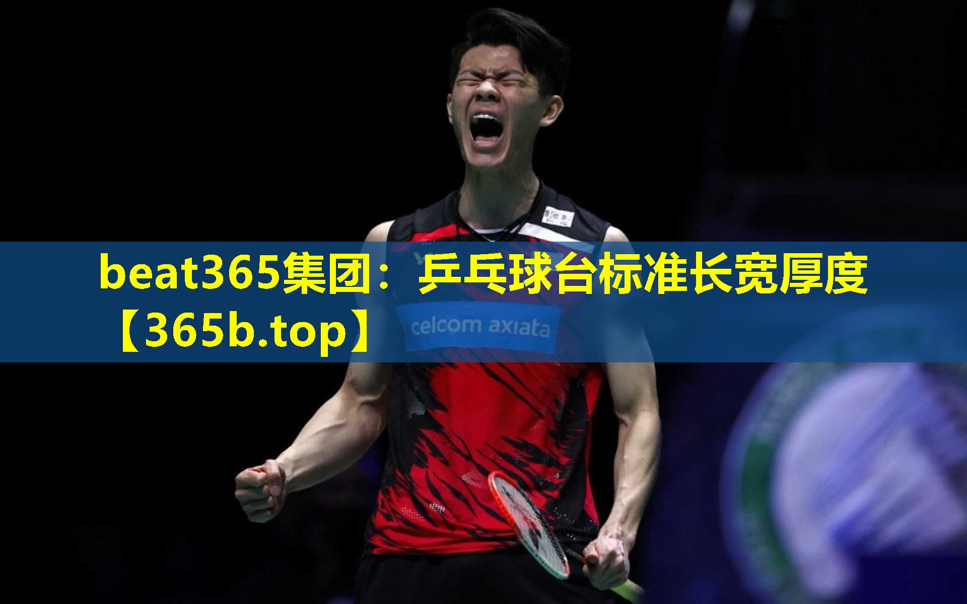 乒乓球台标准长宽厚度 乒乓球台标准长宽厚度