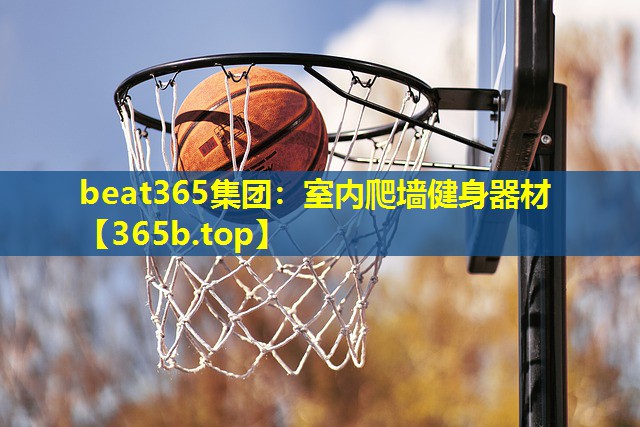 室内爬墙健身器材 室内爬墙健身器材