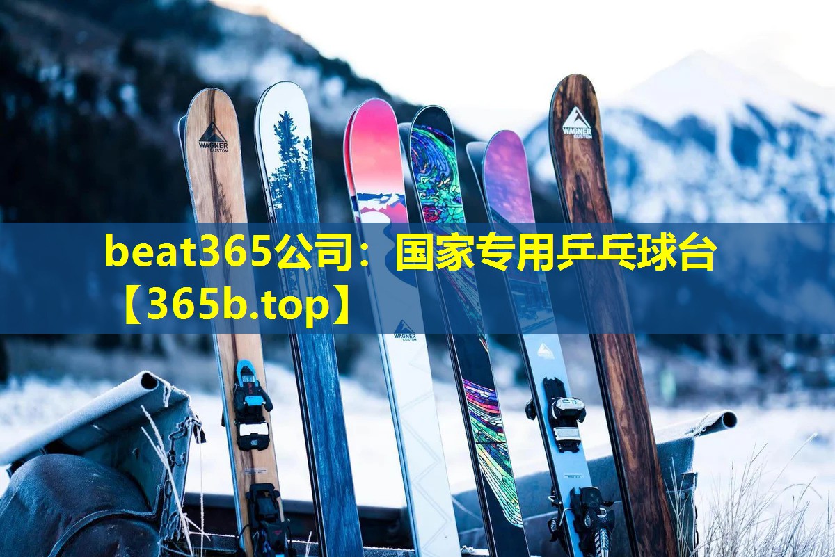 国家专用乒乓球台 国家专用乒乓球台