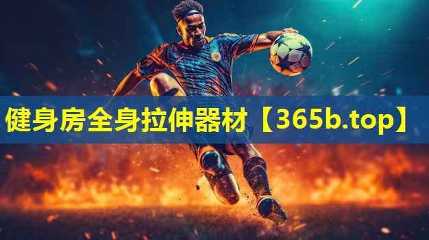 健身房全身拉伸器材 健身房全身拉伸器材